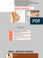Glandulas Mamarias Cirugia Seminario PDF