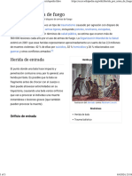 Herida Por Arma de Fuego - Wikipedia, La Enciclopedia Libre