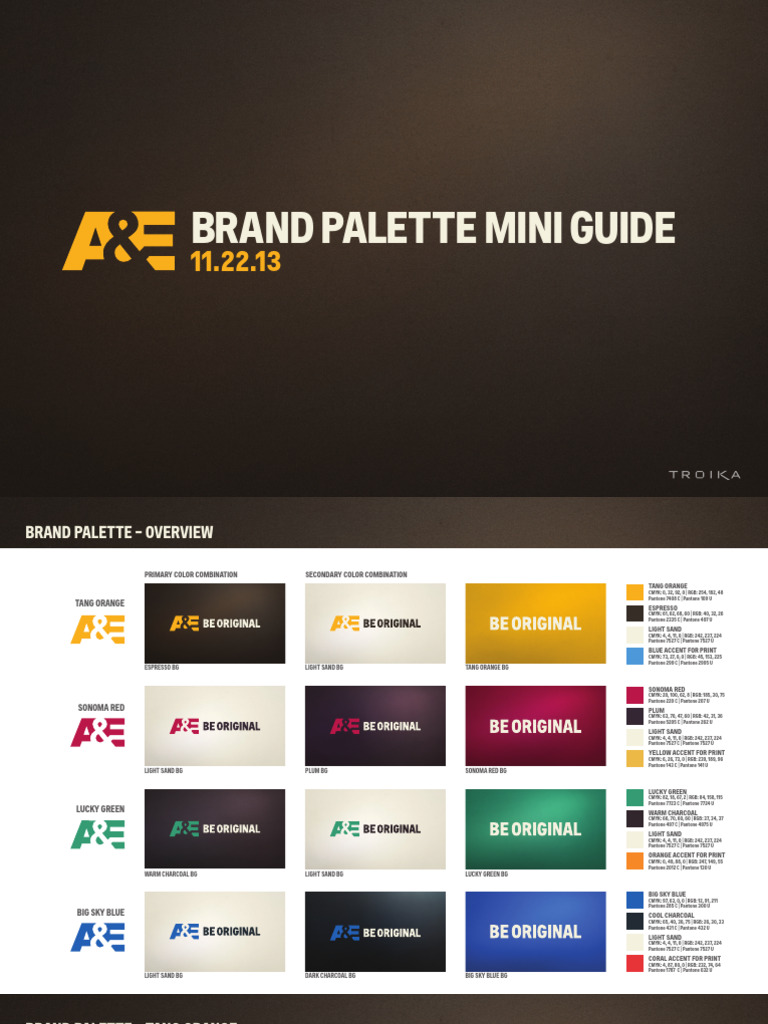 A&E Brand Palette Mini Guide 112213 | PDF | Rgb Color Model | Color