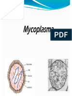 Clase 9,4 - Mycoplasma 2018
