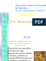 Universidad de San Carlos de Guatemala Escuela de Nutrición: Ejemplos PCN