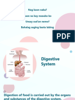 Digestive System