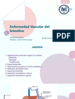 Enfermedad vascular intestinal