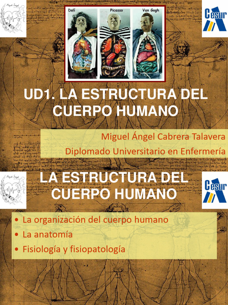 UD1. La Estructura Del Cuerpo Humano | PDF | Términos anatómicos de ...