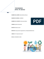 Ensayo Sobre La Organización y La Responsabilidad Social