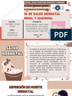 Copia de Situación de Salud Neonatal Regional y Nacional