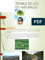 SOSTENIBILIDAD DE LOS RECURSOS NATURALES (1)