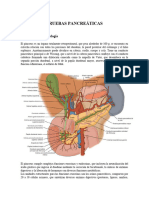 Pruebas Pancreáticas