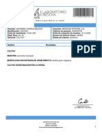 Informe Cultivo Tejido