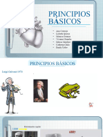 Principios Básicos - Grupo #1 Práctica