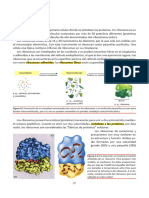 Sintesis de Proteinas