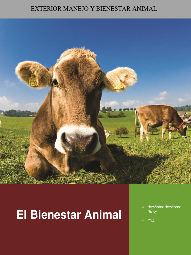 Bienestar Animal: Conceptos y Libertades | PDF | Bienestar de los ...