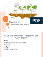 PRINCIPLES OF PLANT GROWTH SLIDES