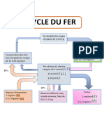 CYCLE DU FER