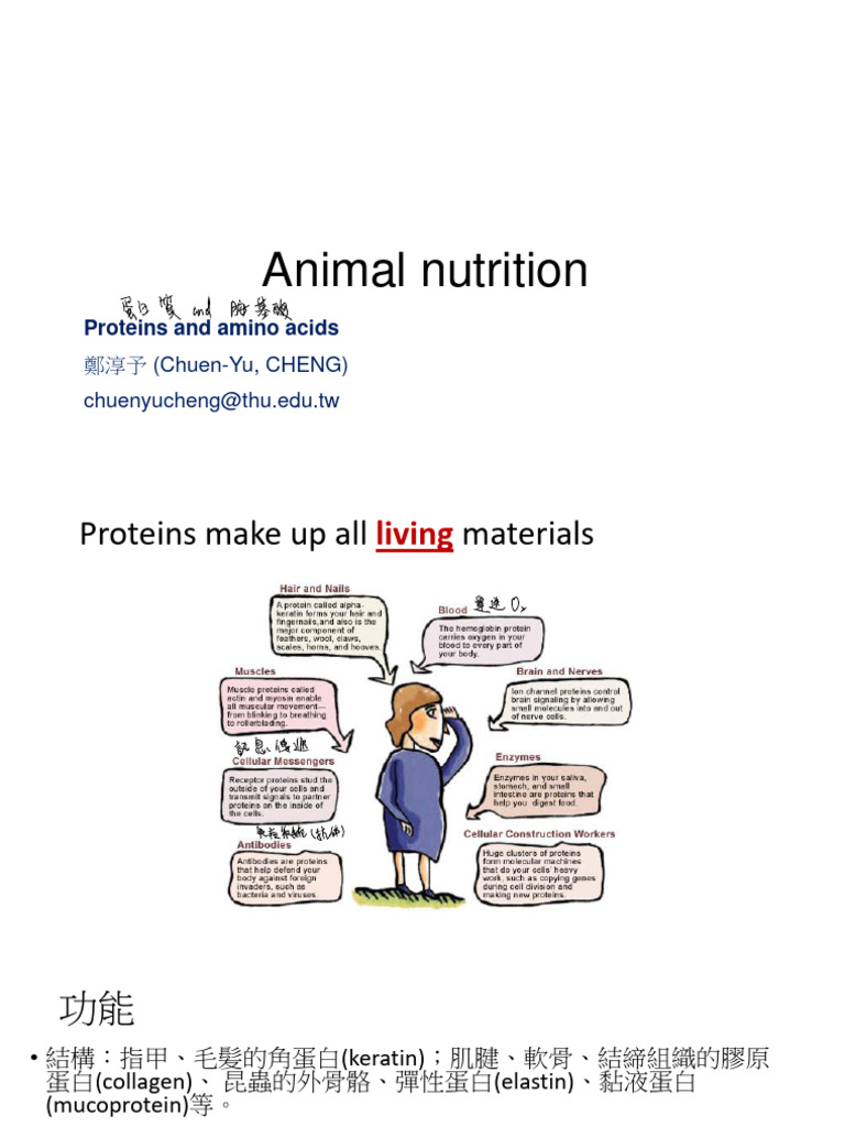 class-1-protein-and-amino-acid-cyc-112-pdf
