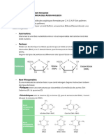 Apunts Àcids Nucleics