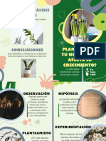 Brochure Diptico Plantas Ilustrado Organico Verde Azul