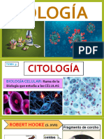 citologia