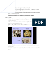 Fossils Handout - Docx 1