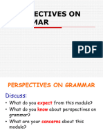 2. Perspectives on Grammar