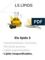 Lipids 3 Lipids Insaponificables