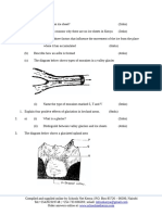 Glaciation Questions