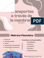 transportes membrana