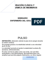 SEMINARIO DE EXPLORACIÓN CLÍNICA Y HEMODINÁMICA DE MIEMBROS_22_23