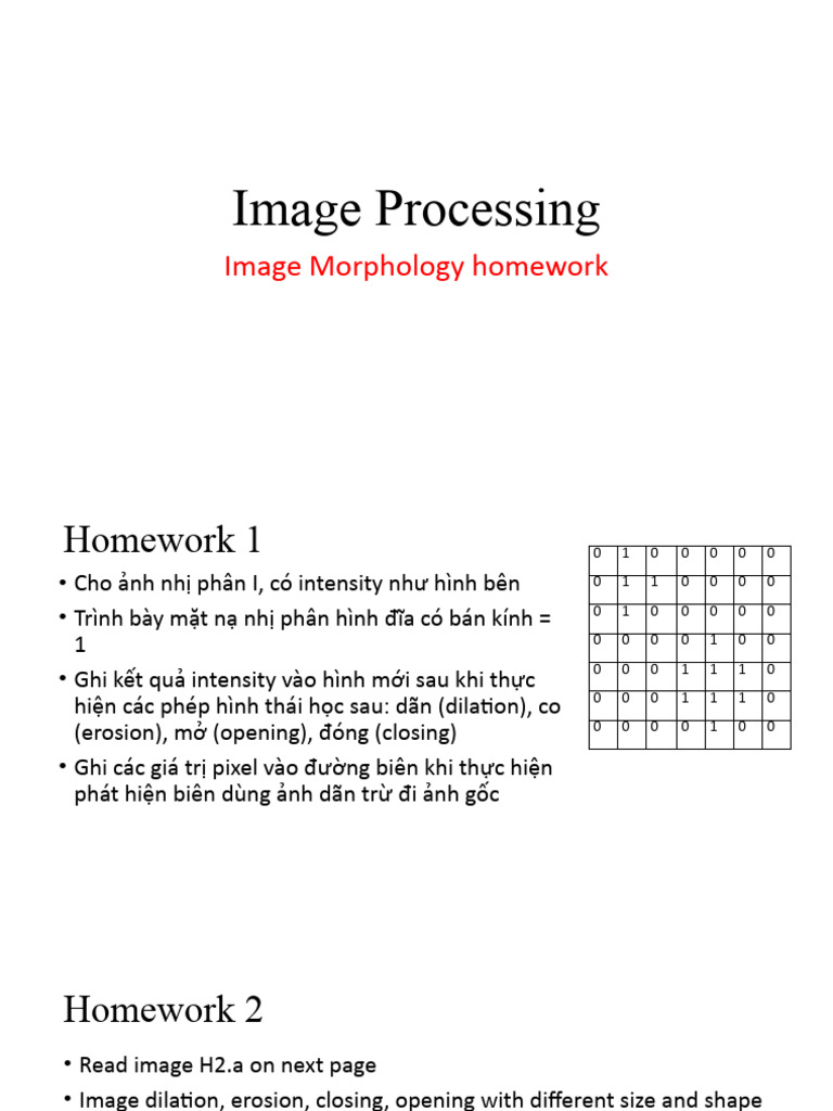 Lecture 5 Morphology Assignment Pdf