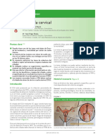 Amf Citologia Cervical