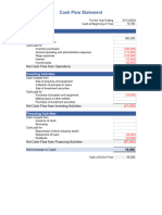 Cash Flow Statement