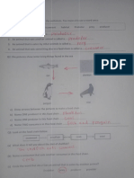 Stage 6 Science t2 Final Answer Key