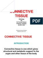 A Connective Tissue2!16!12 14
