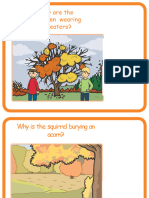 1- Cause and Effect Cards