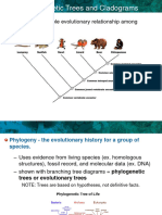 Phylogenetic Trees Cladograms