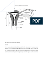 Female Reproductive System