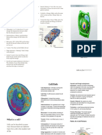 Cell Brochure