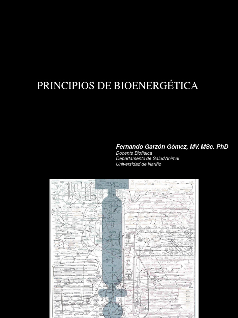 BIOENERGÉTICA | PDF | Metabolismo | Fosforilación