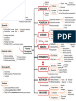 Mapa Conceptual Intro A La Psicología