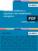 Páncreas Endócrino y Metabolismo Energético.24
