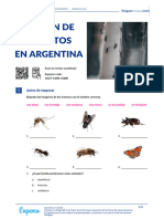 Invasión de Mosquitos en Argentina Castellano Spanish Student