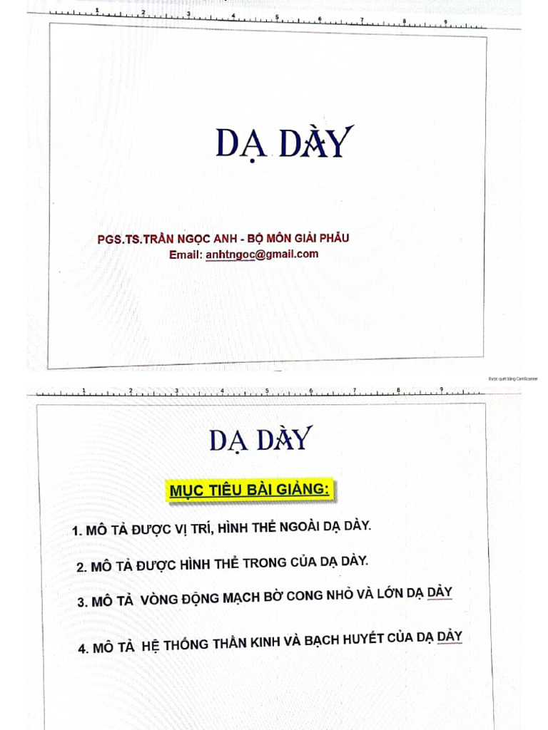 D Dày Tá T y | PDF