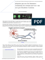 Princípios do funcionamento do sistema nervoso - Elisabete Castelon Konkiewitz – Neurociências em Debate