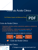 Aula_Ciclo_do_cido_Ctrico