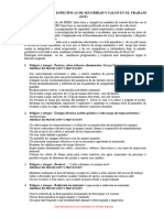 07 Tipo 7 Personal Tecnico Línea de Mando Tarea de Alto Riesgo