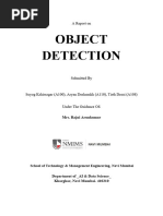 Object Detection