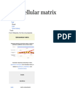 Extracellular Matrix