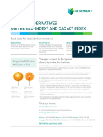 Derivatives-Mini-Index Factsheet