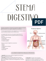 Presentación Sistema Digestivo - 20240308 - 174936 - 0000