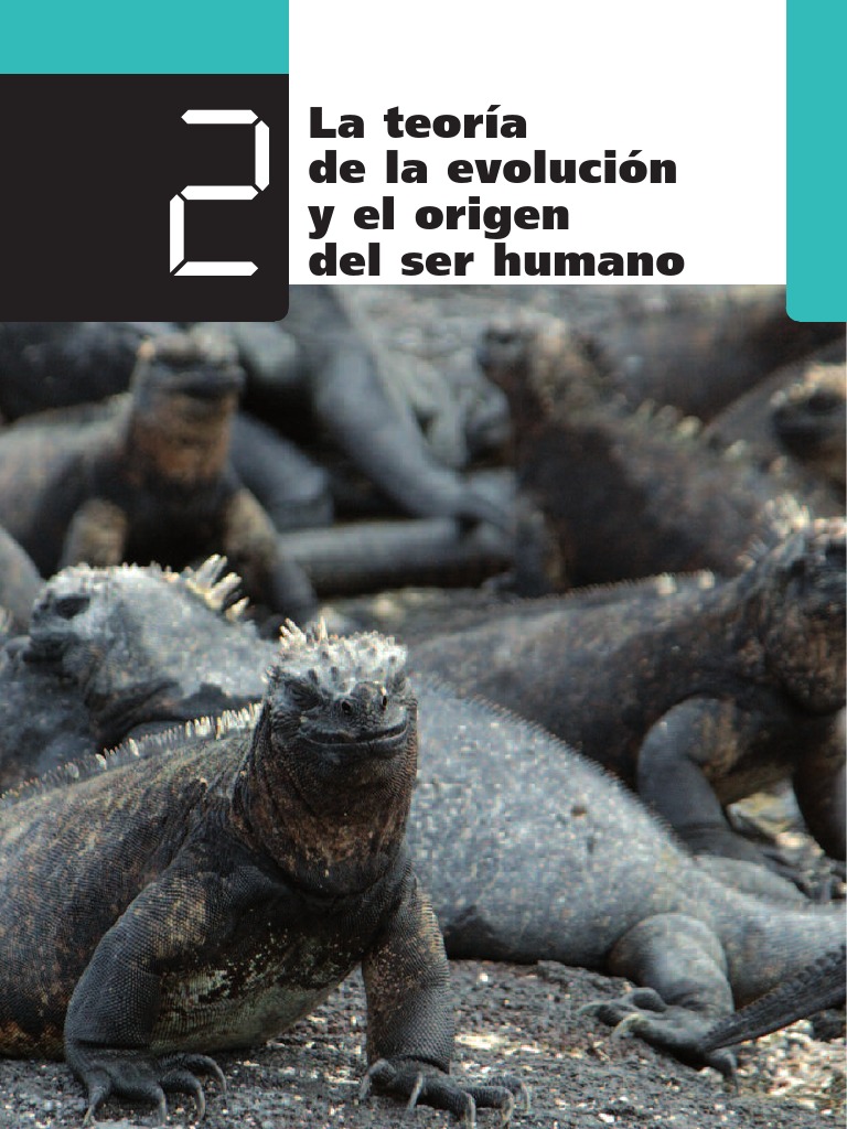 Teoria de La Evolucion y Origen Del Ser Humano | PDF | Seleccion ...